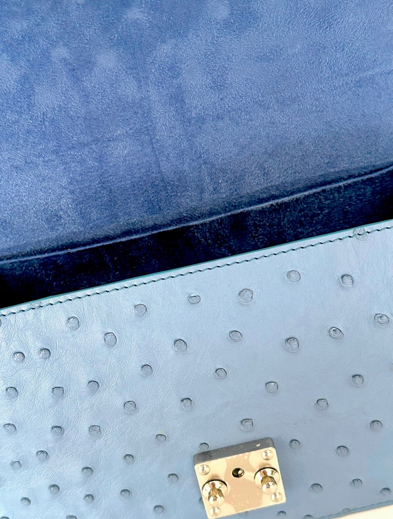 Periwinkle Ostrich - Hadley Flap image 3
