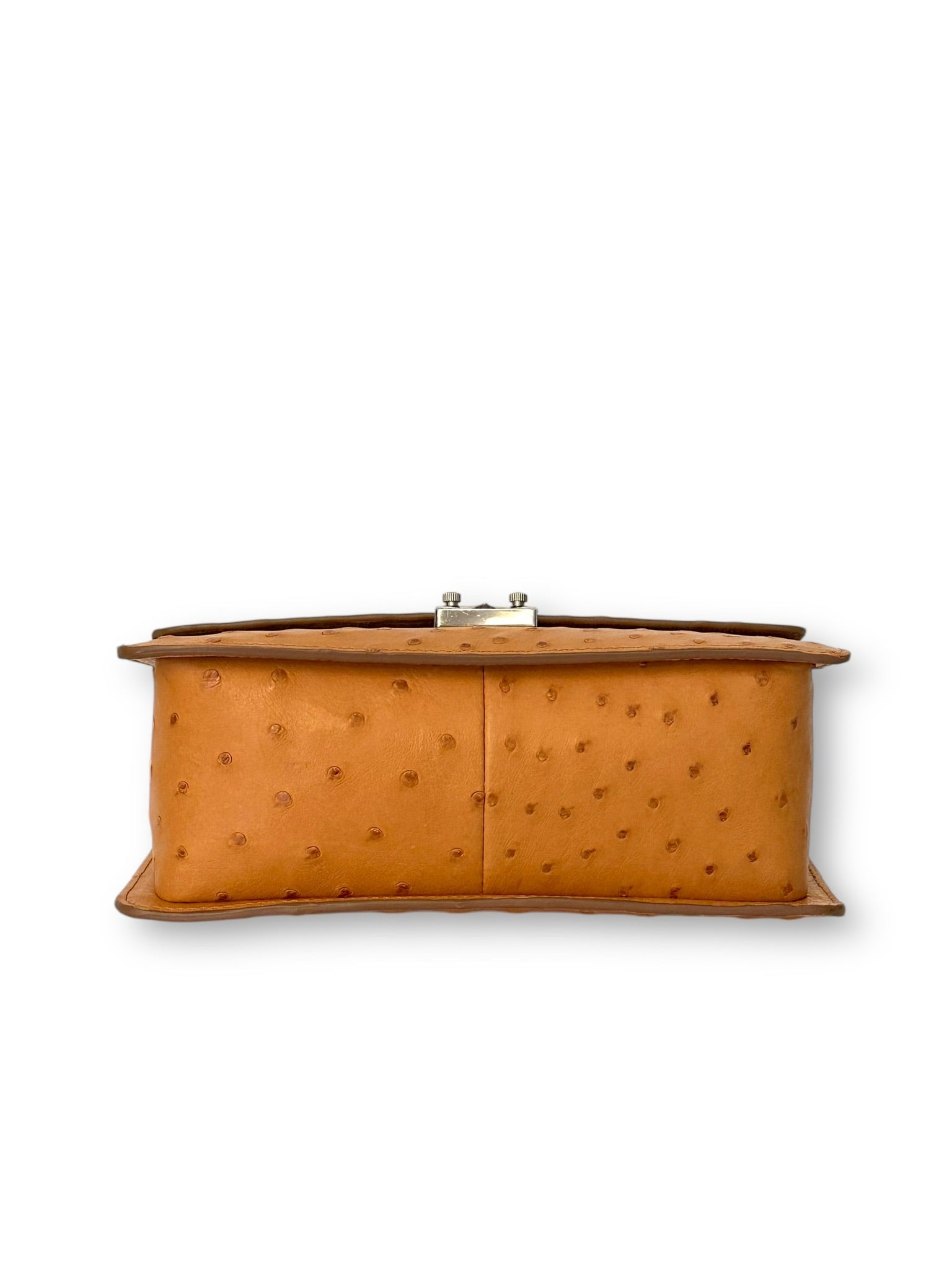 Gold Ostrich Platinum Tone - Anka Top Handle image 3