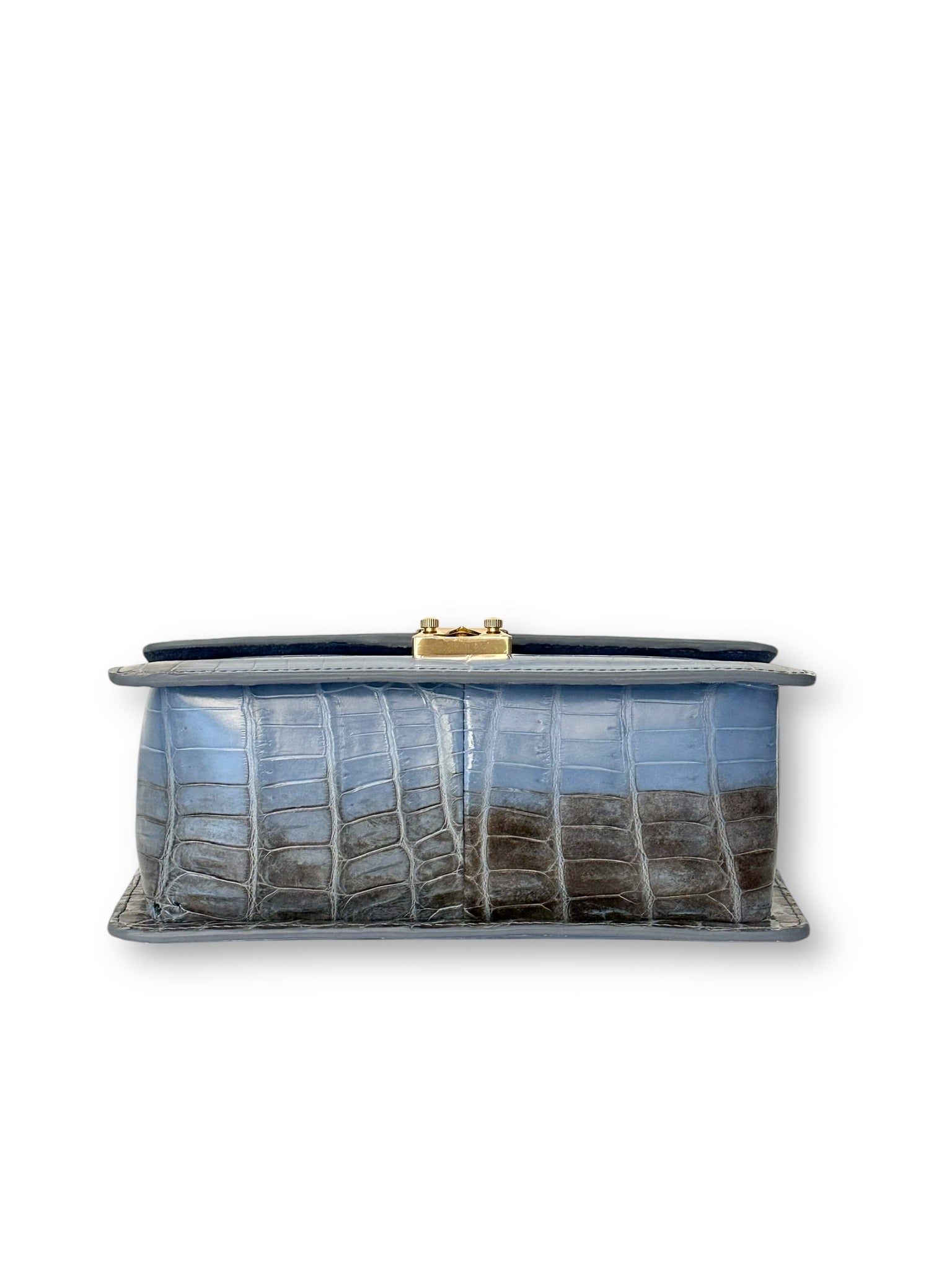 Blue Ombre Himalayan Crocodile - Anka Top Handle image 3