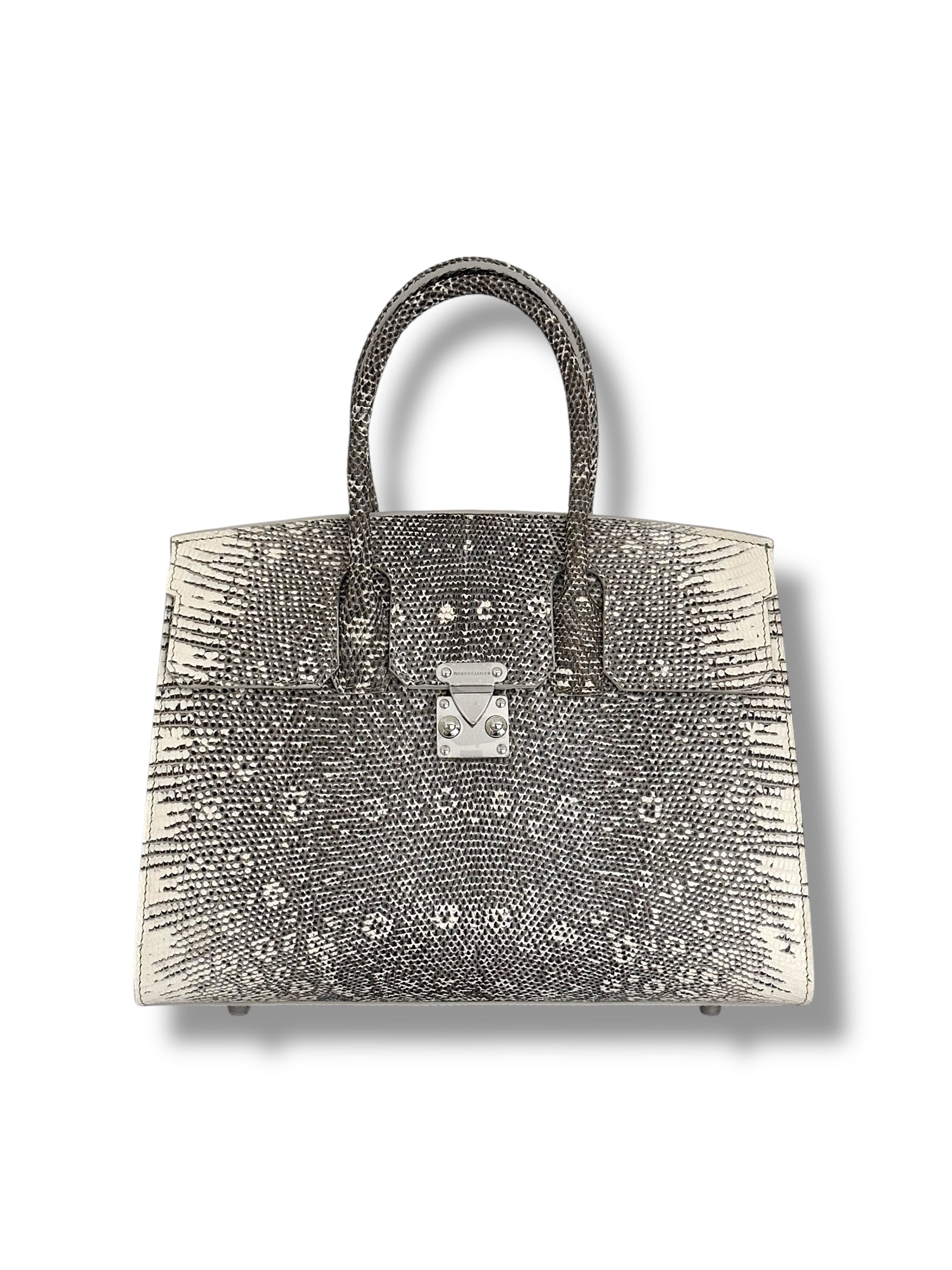 Ombré Lizard - The Wrenley Tote image 0