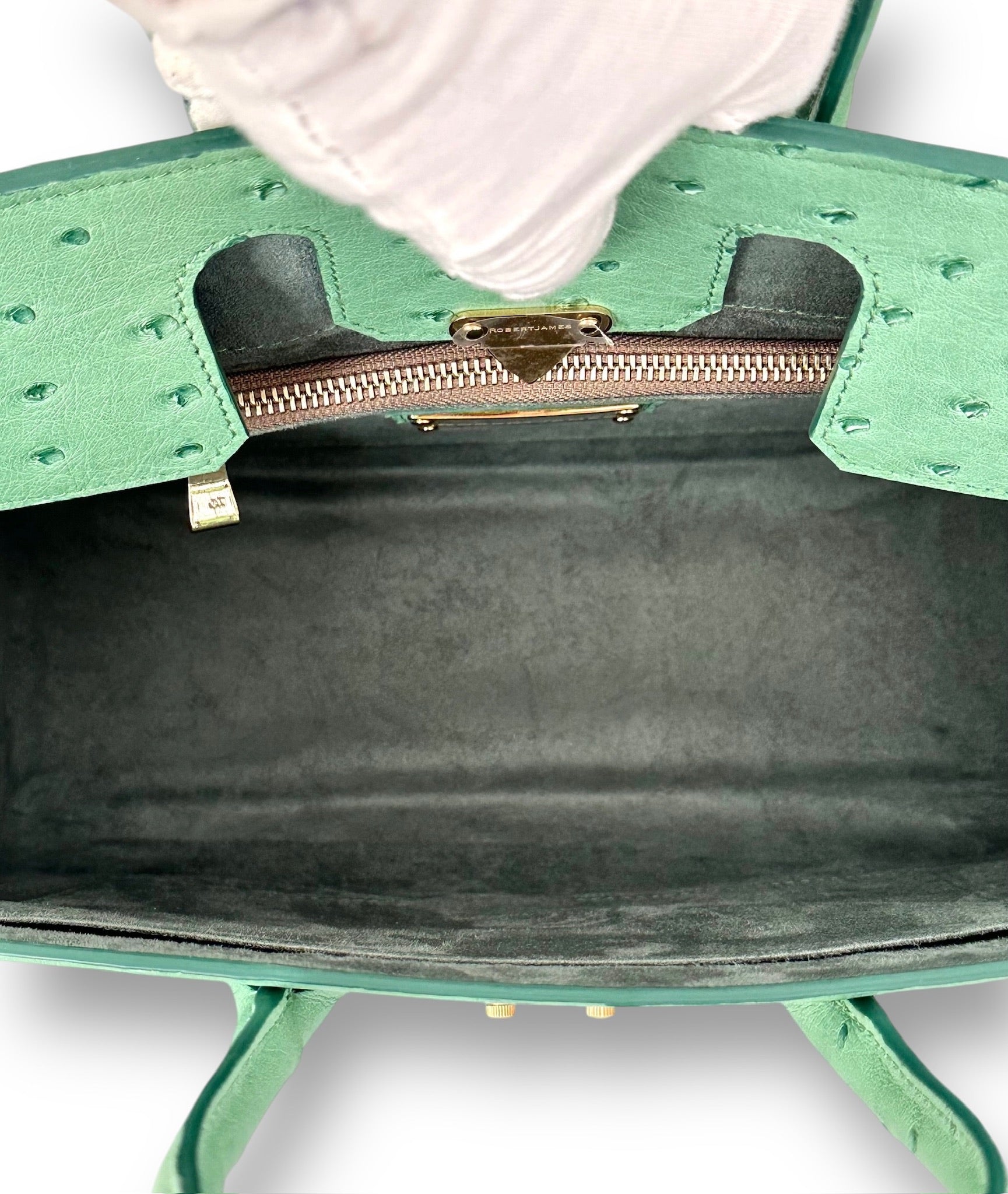 Iridescent Soft Green Ostrich - Wrenley Tote image 3