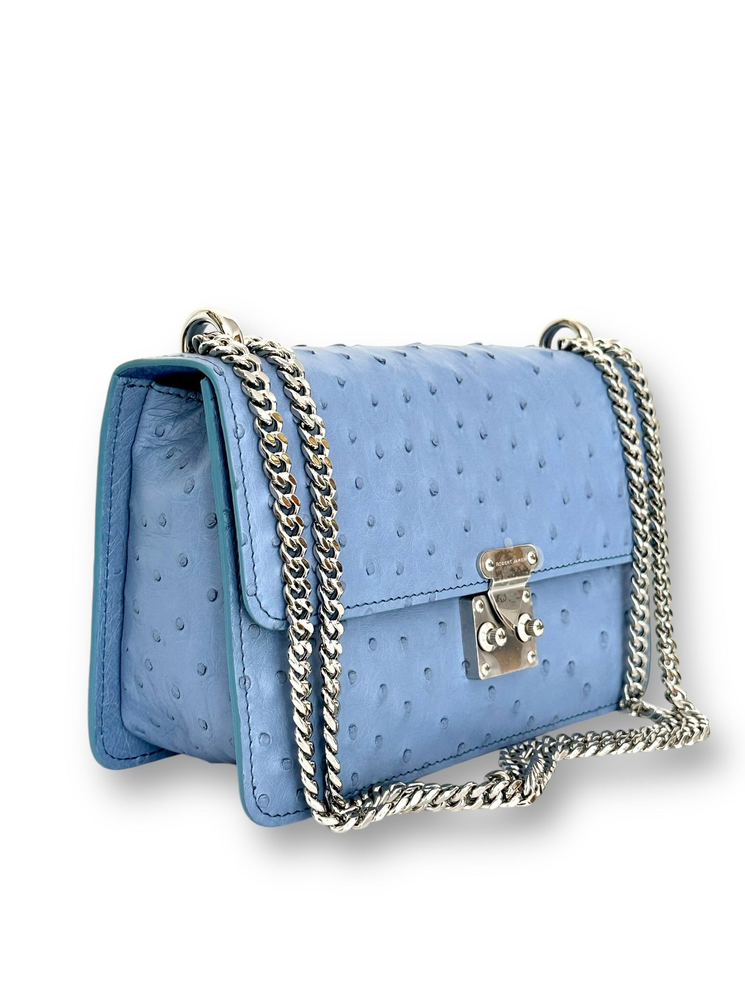 Periwinkle Ostrich - Hadley Flap image 1