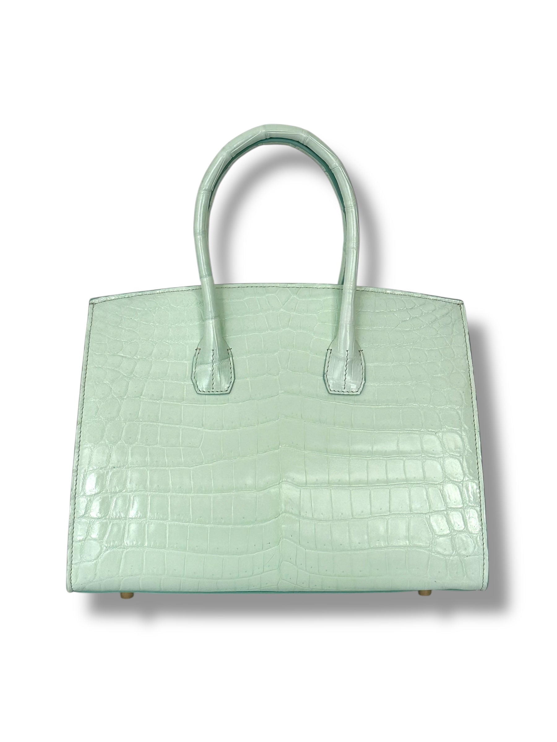Seafoam Niloticus Crocodile - Wrenley Tote image 2