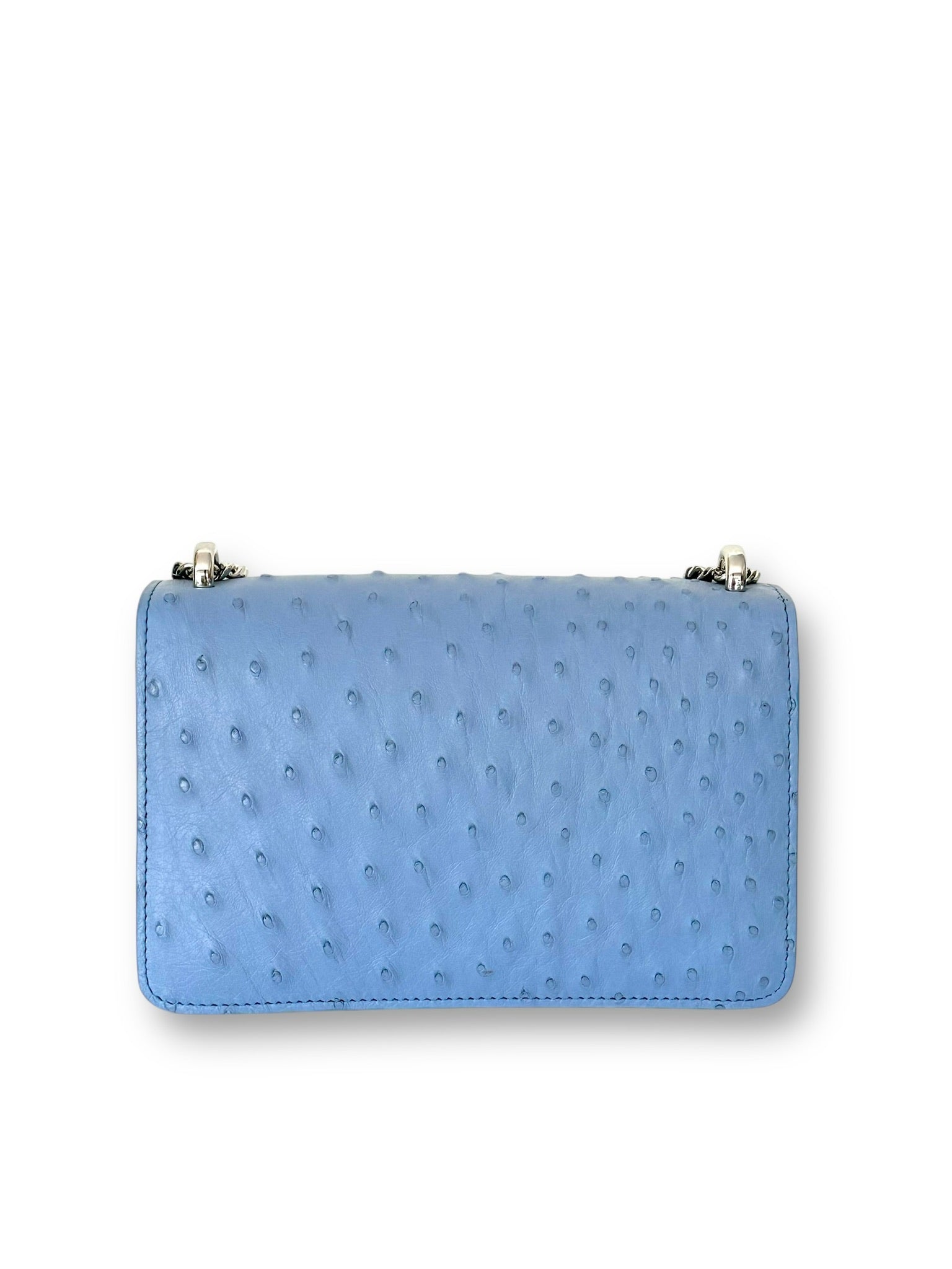 Periwinkle Ostrich - Hadley Flap image 2