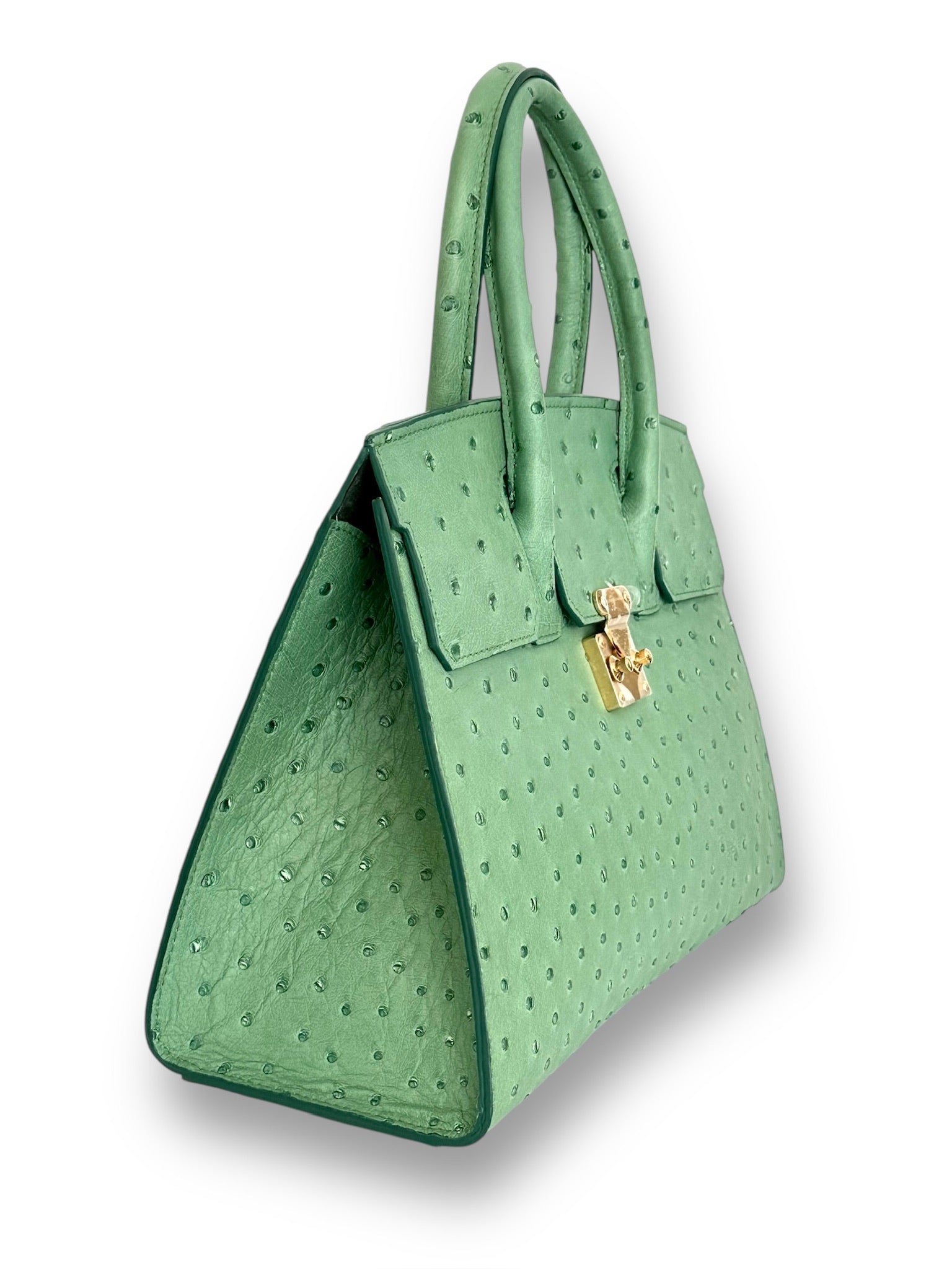 Iridescent Soft Green Ostrich - Wrenley Tote image 1