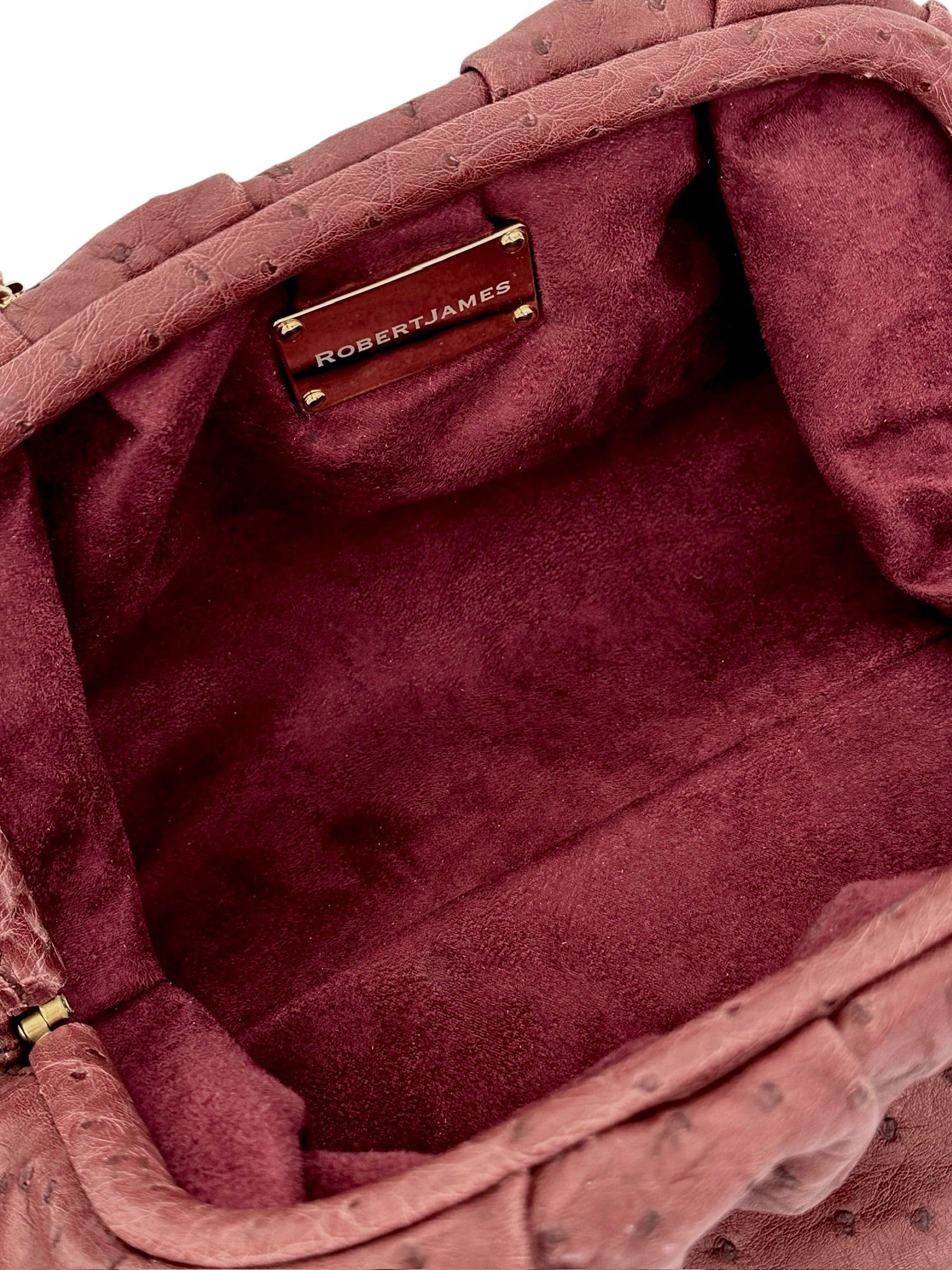 Soft Merlot Ostrich - Birdie Bag image 4