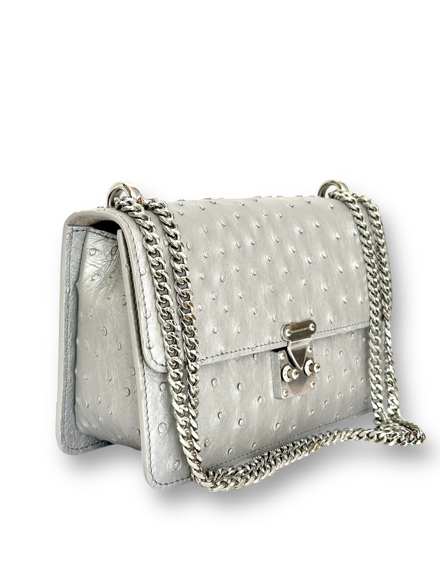 Metallic Silver Ostrich - Hadley Flap image 1