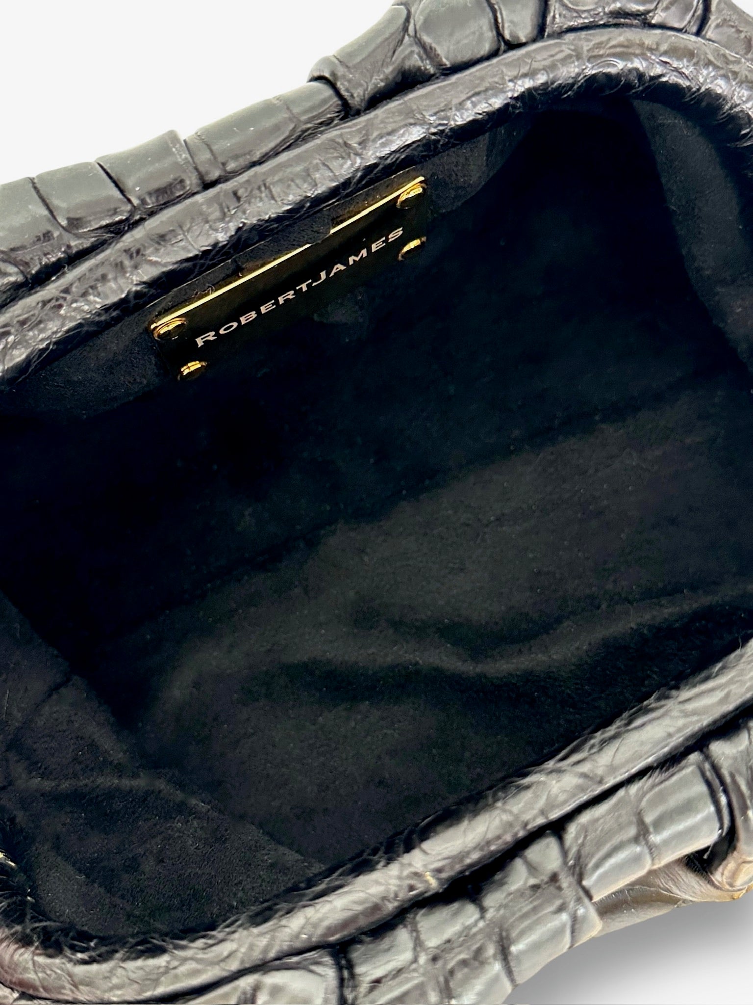 Black Onyx Niloticus Crocodile - Mini Birdie Bag image 3