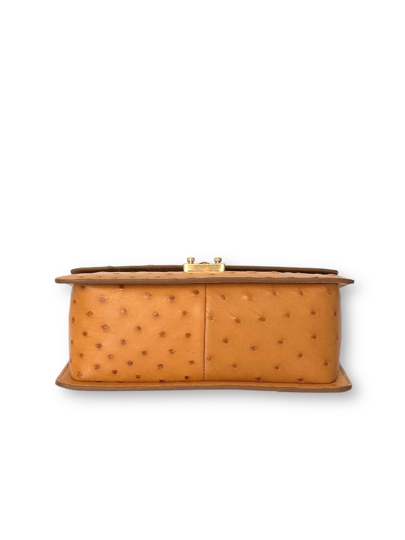 Gold Ostrich 24kt Plated - Anka Top Handle image 2